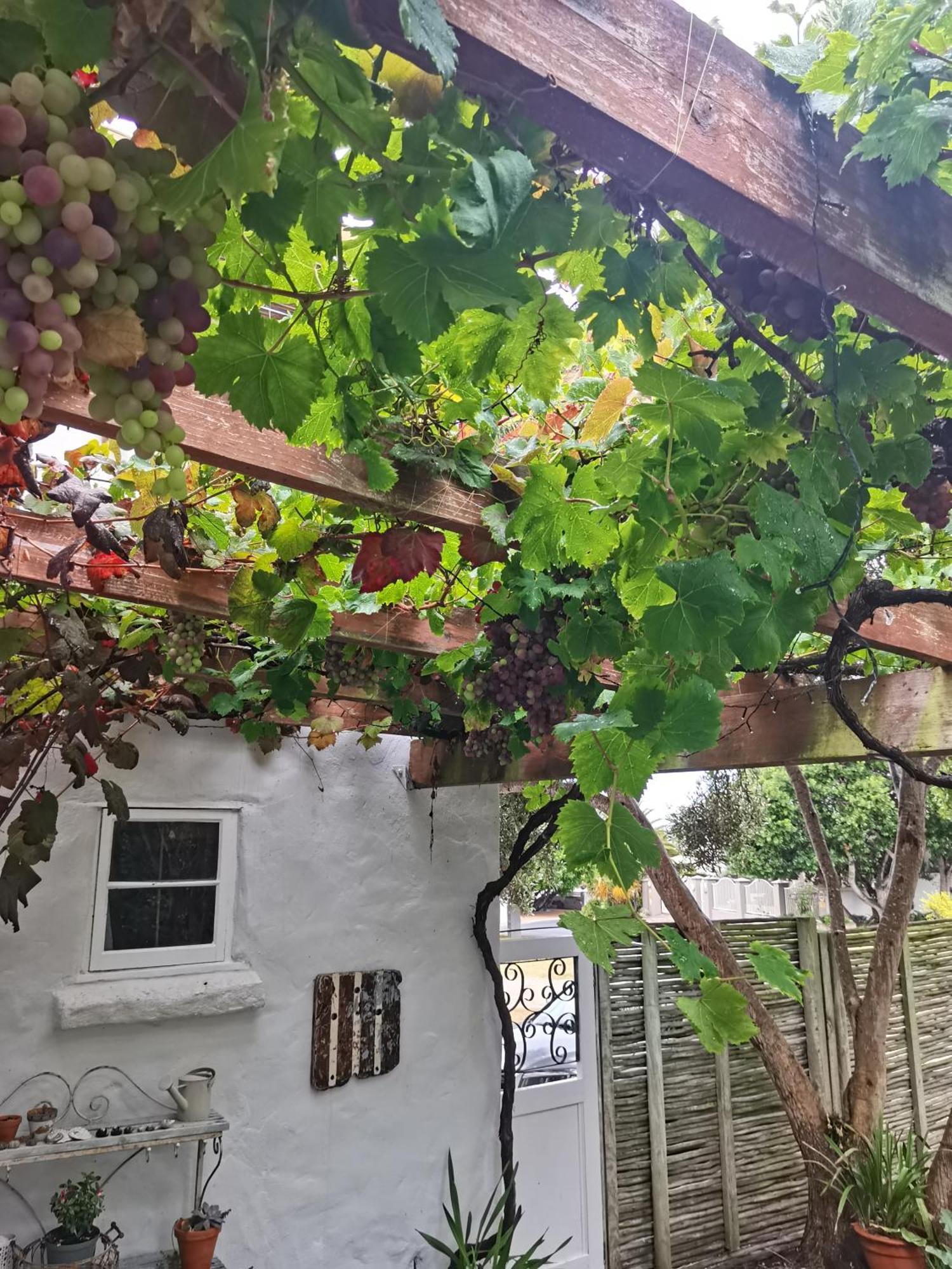 Vermont Lofts Hermanus Εξωτερικό φωτογραφία